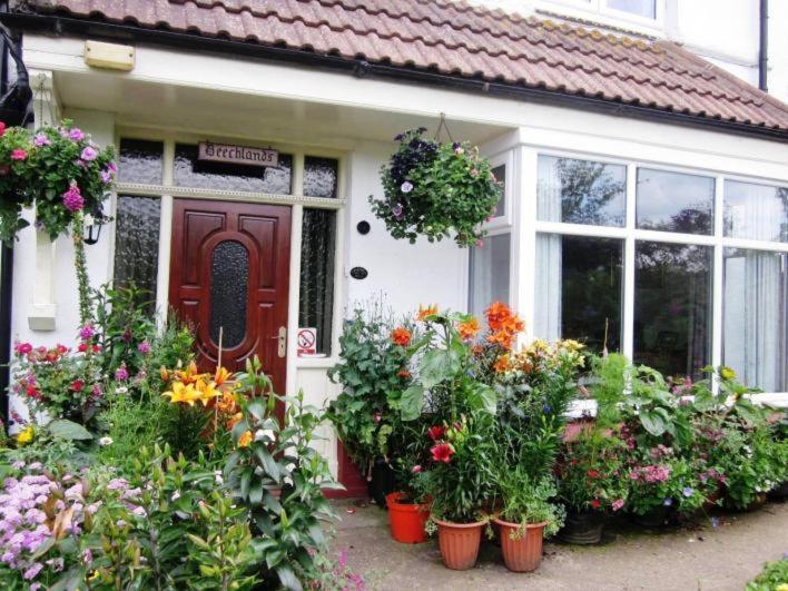 Beechlands B & B Sleights Exteriér fotografie