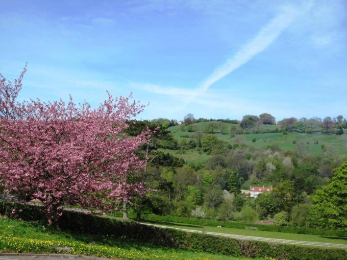 Beechlands B & B Sleights Exteriér fotografie
